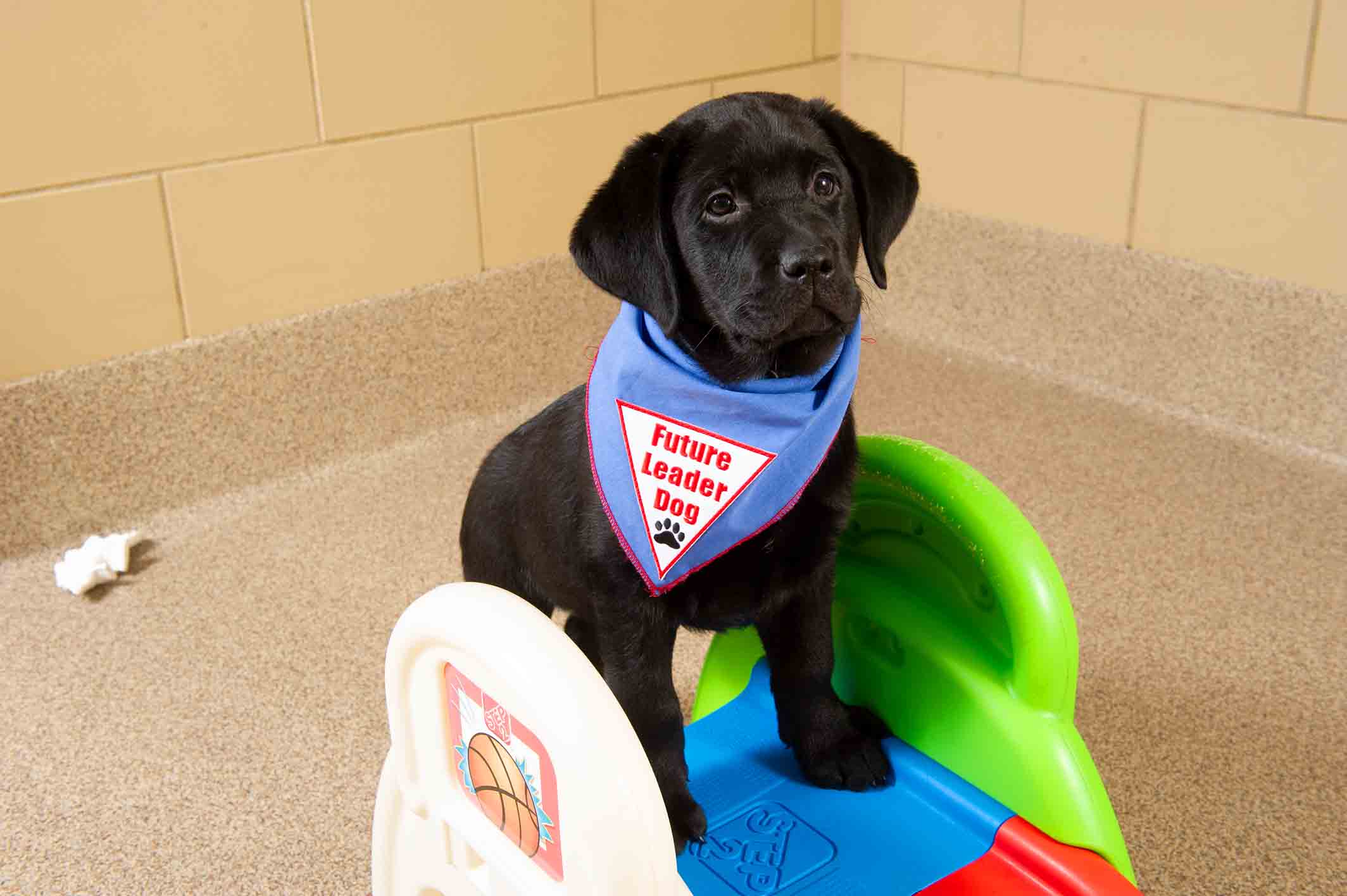 Guinness isn't shy in front of the cameras!