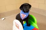 Guinness isn't shy in front of the cameras!
