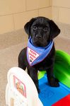 Meet Guinness!