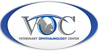 Veterinary Ophthalmology Center
