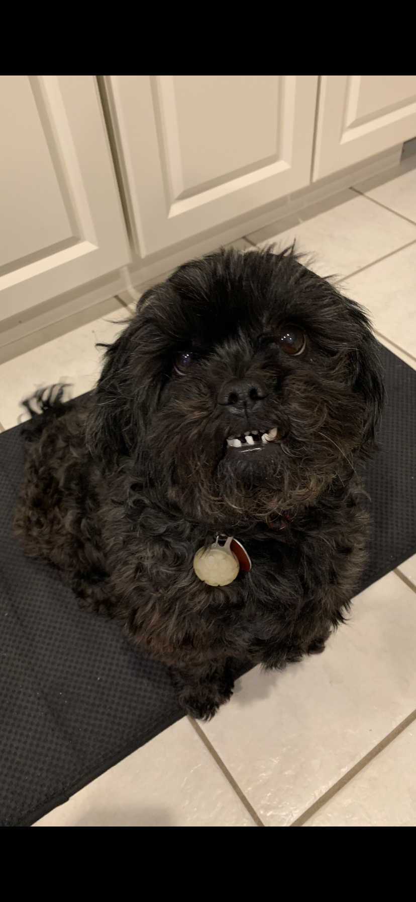 Jack showing off his beautiful smile!