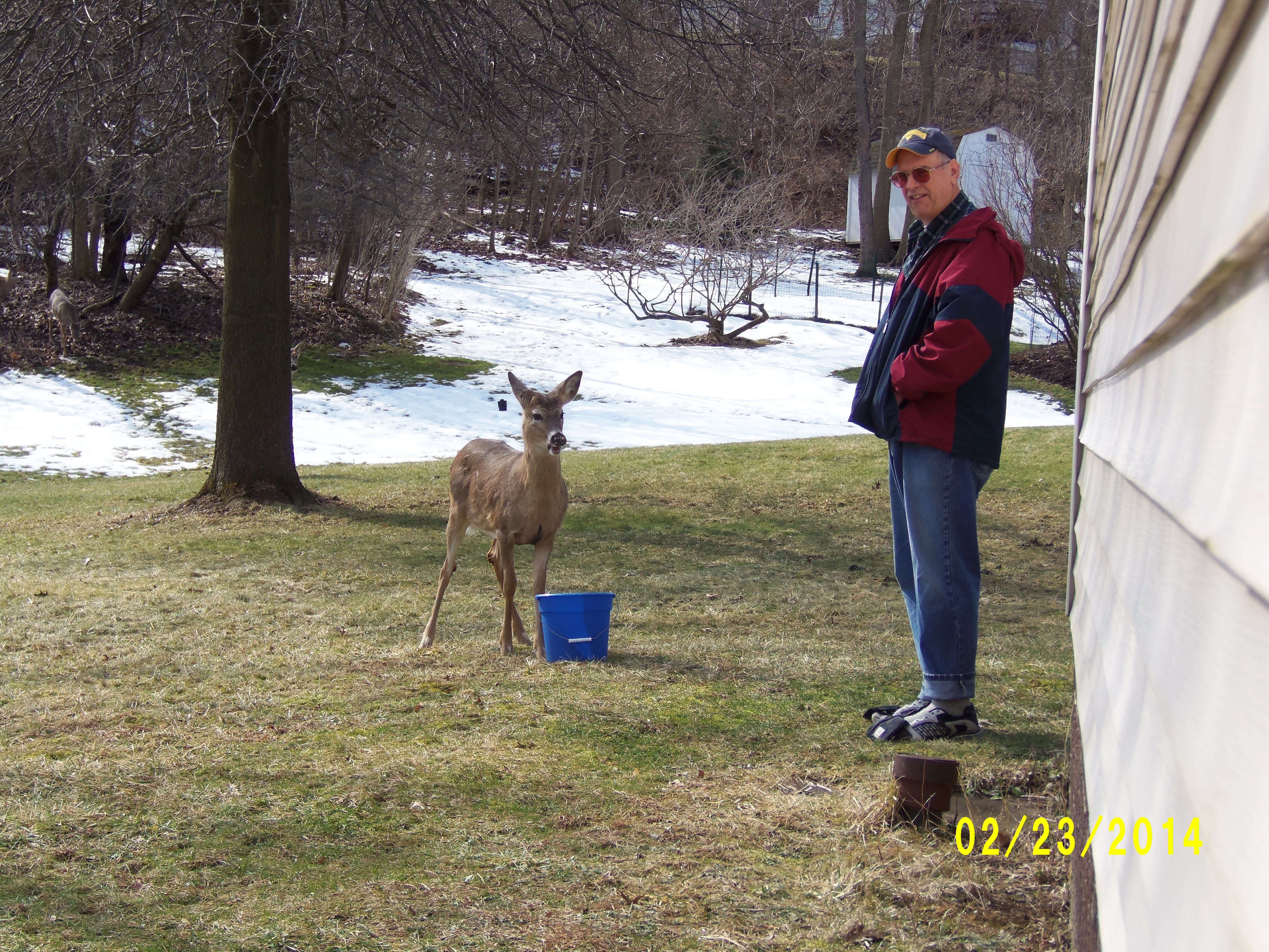 Pat LOVED the deer, and the deer loved him. :)