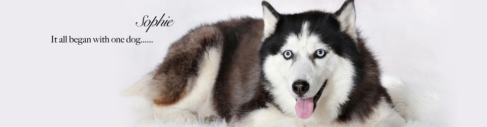 8th Annual Sophie's Circle Rainbow Bridge Walk