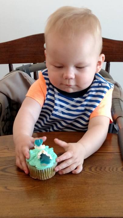 Leo's First Birthday!