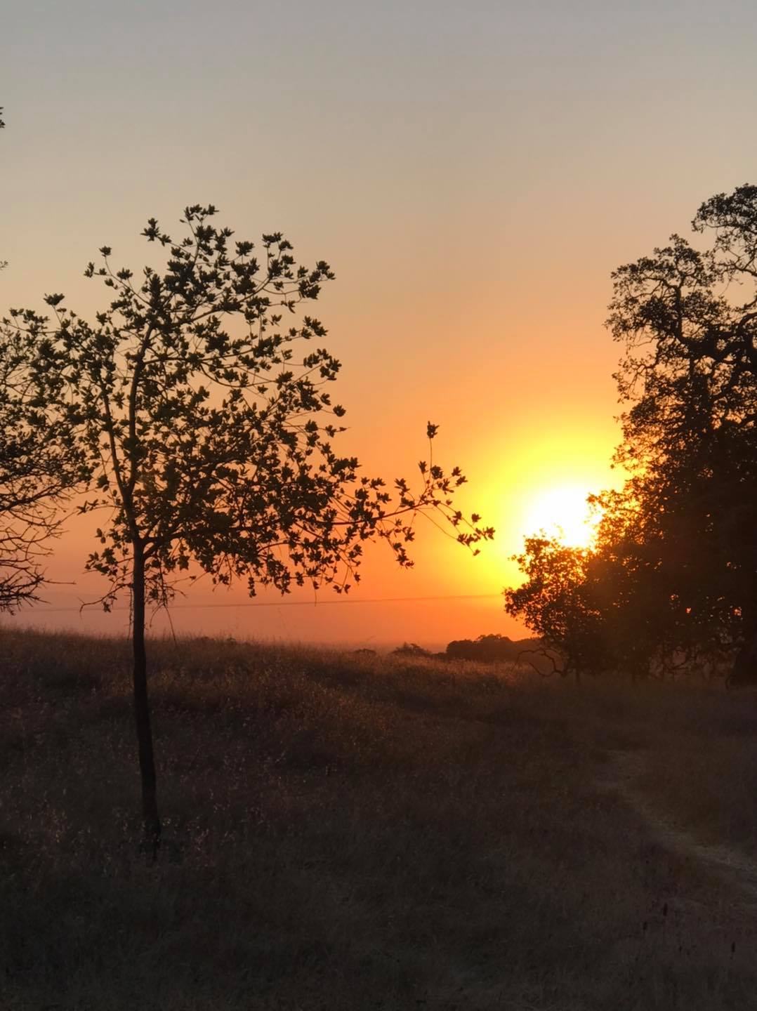 Rise and Shine and  meet us at Stanford Dish at 7:00 am Wednesday. Intero Movin for a cause.