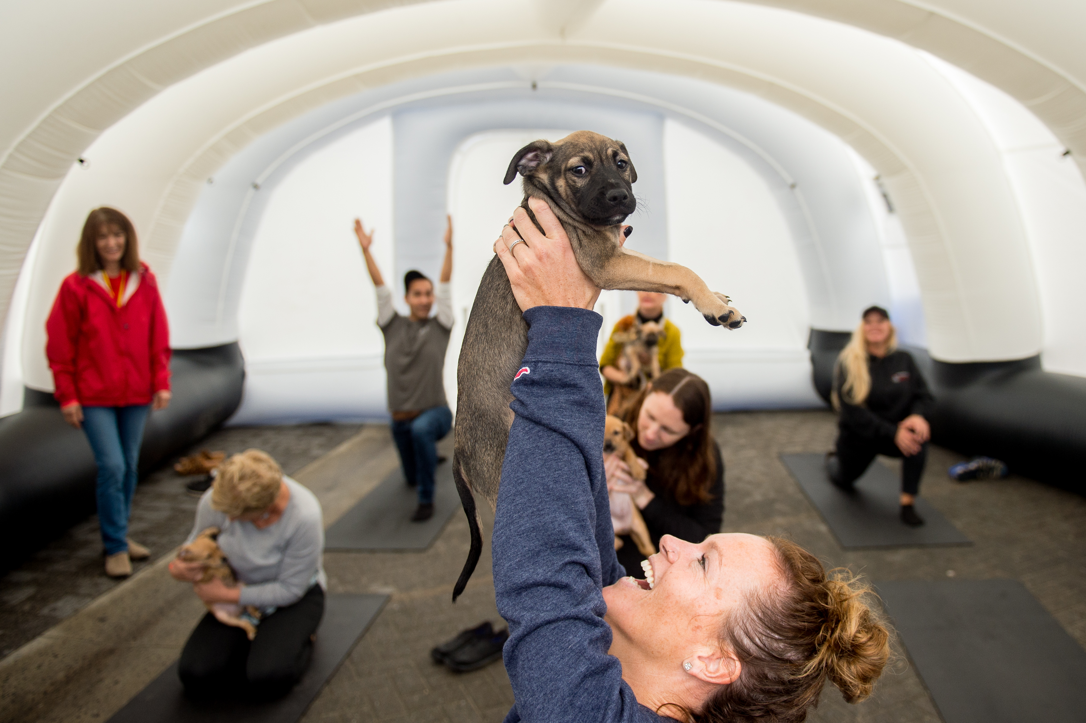 Yoga with Puppies