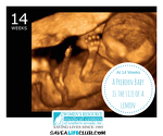 14 Weeks in the Womb!