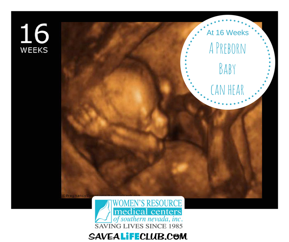 16 Weeks in the Womb!