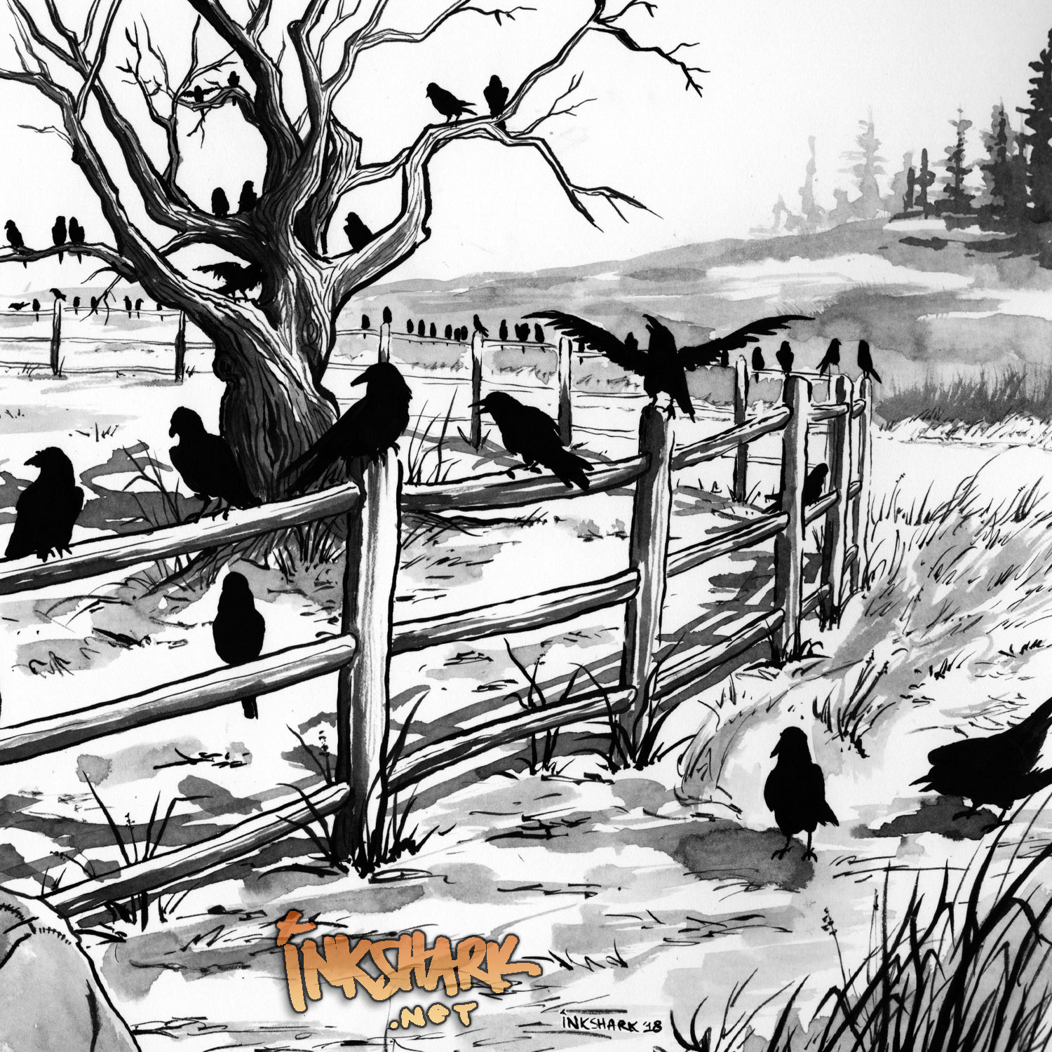 illustration for Nattraven