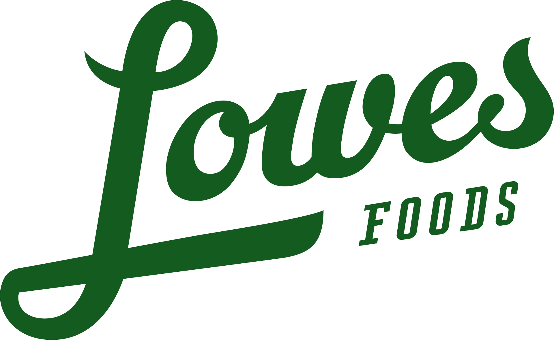 Lowes Foods (Pelham Road)