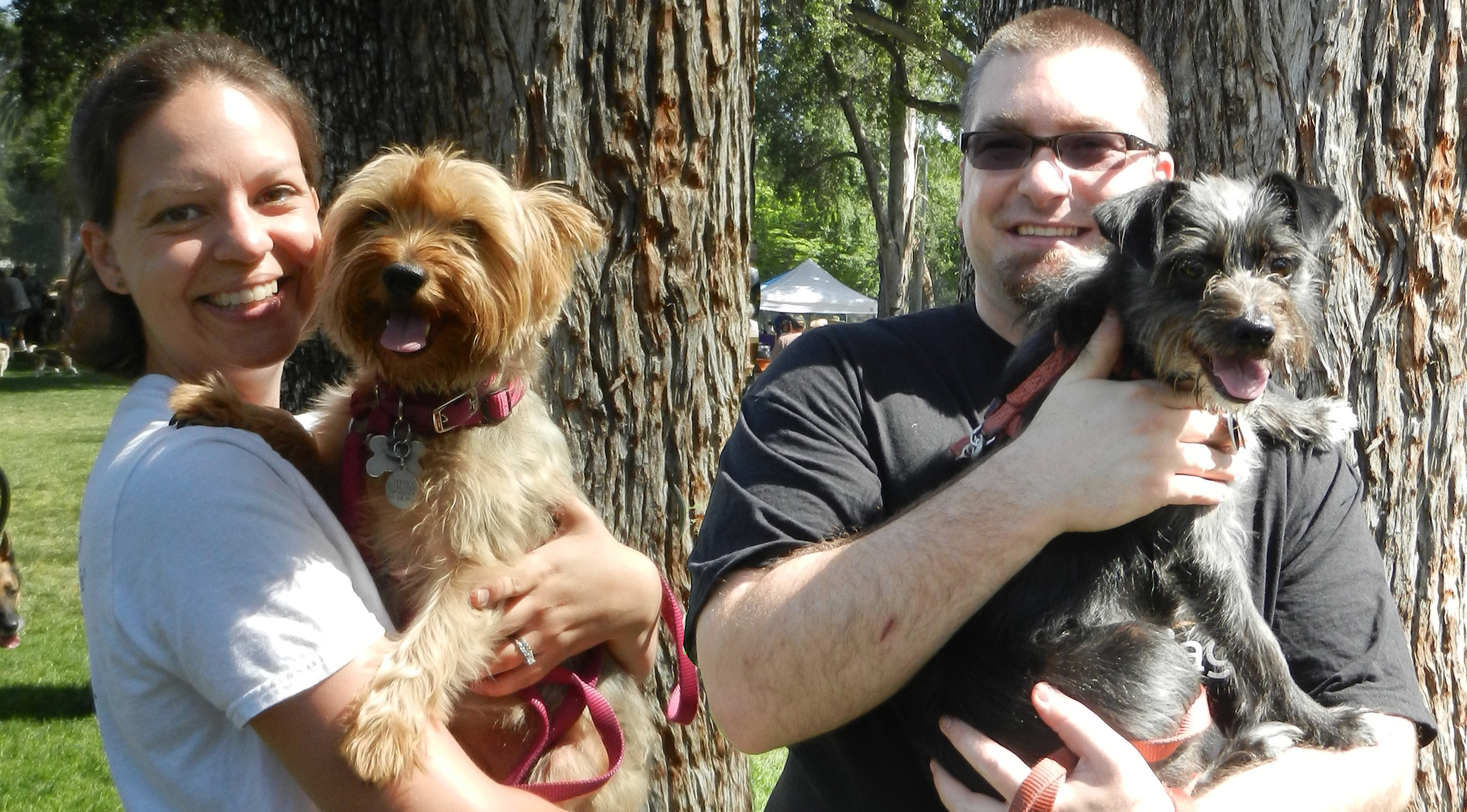 Walk with the Animals Flashback