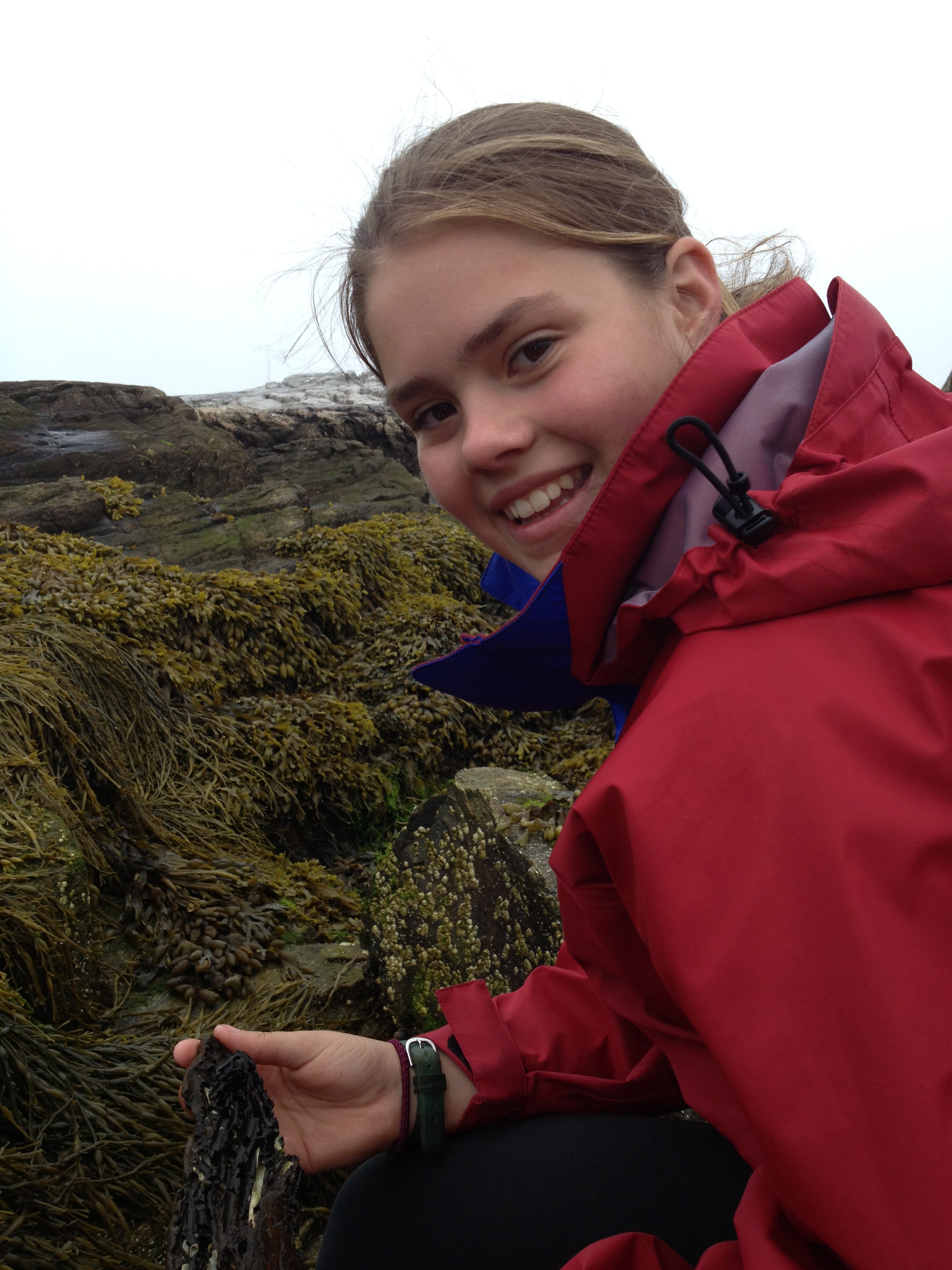Tidepooling at the Isles of Shoals