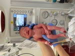 Charlie enters the world!  9-23-14 -- Due Date: 11-24-14