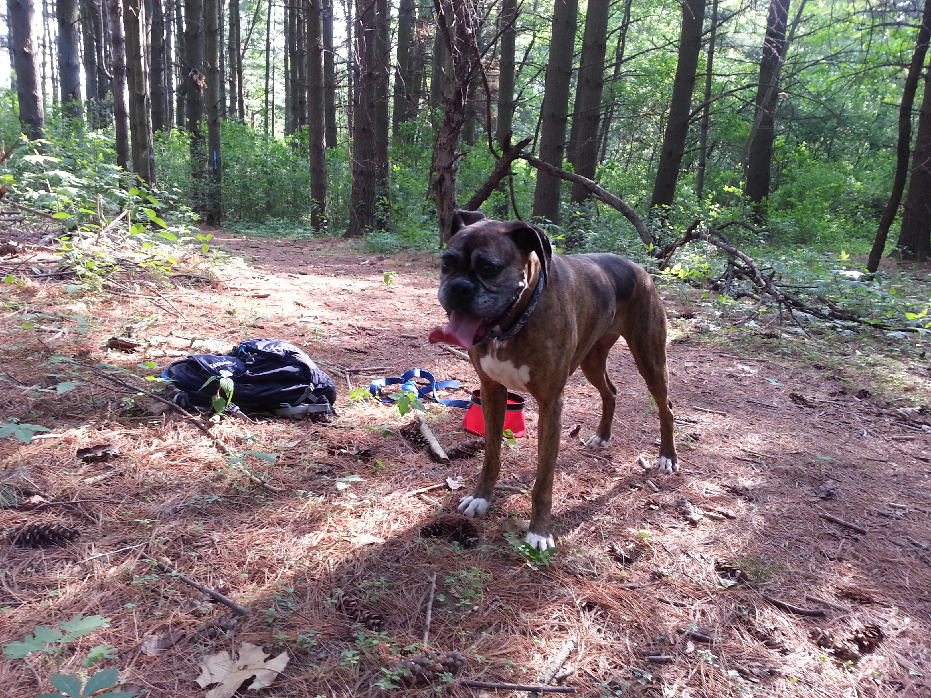 Taking a break on the trails.