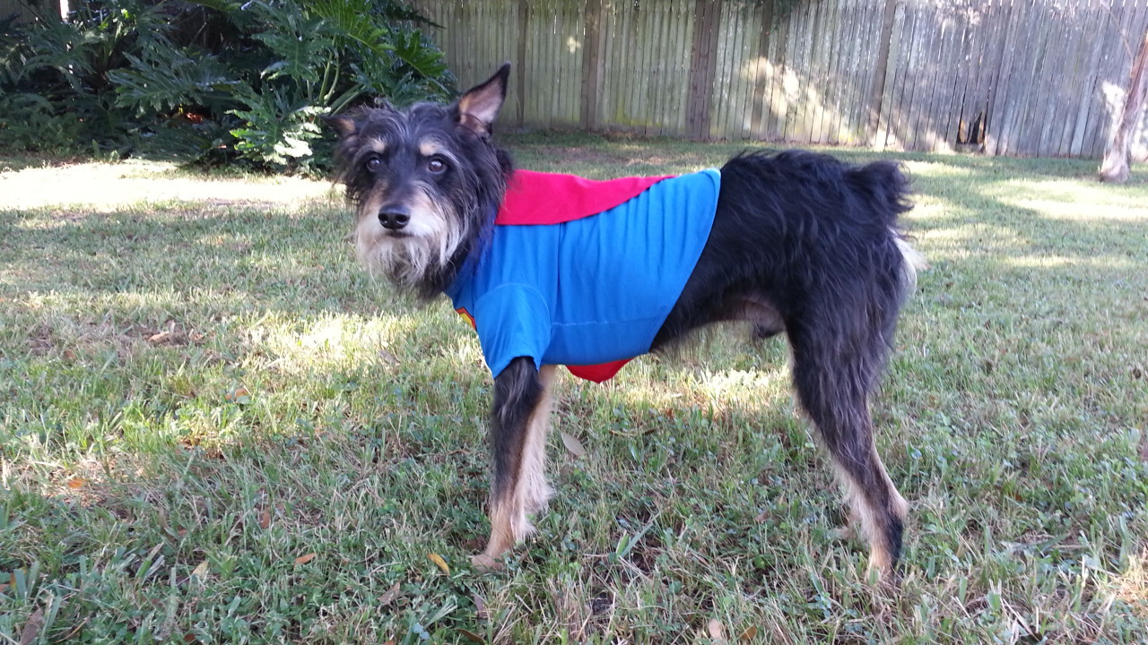 Super Fido