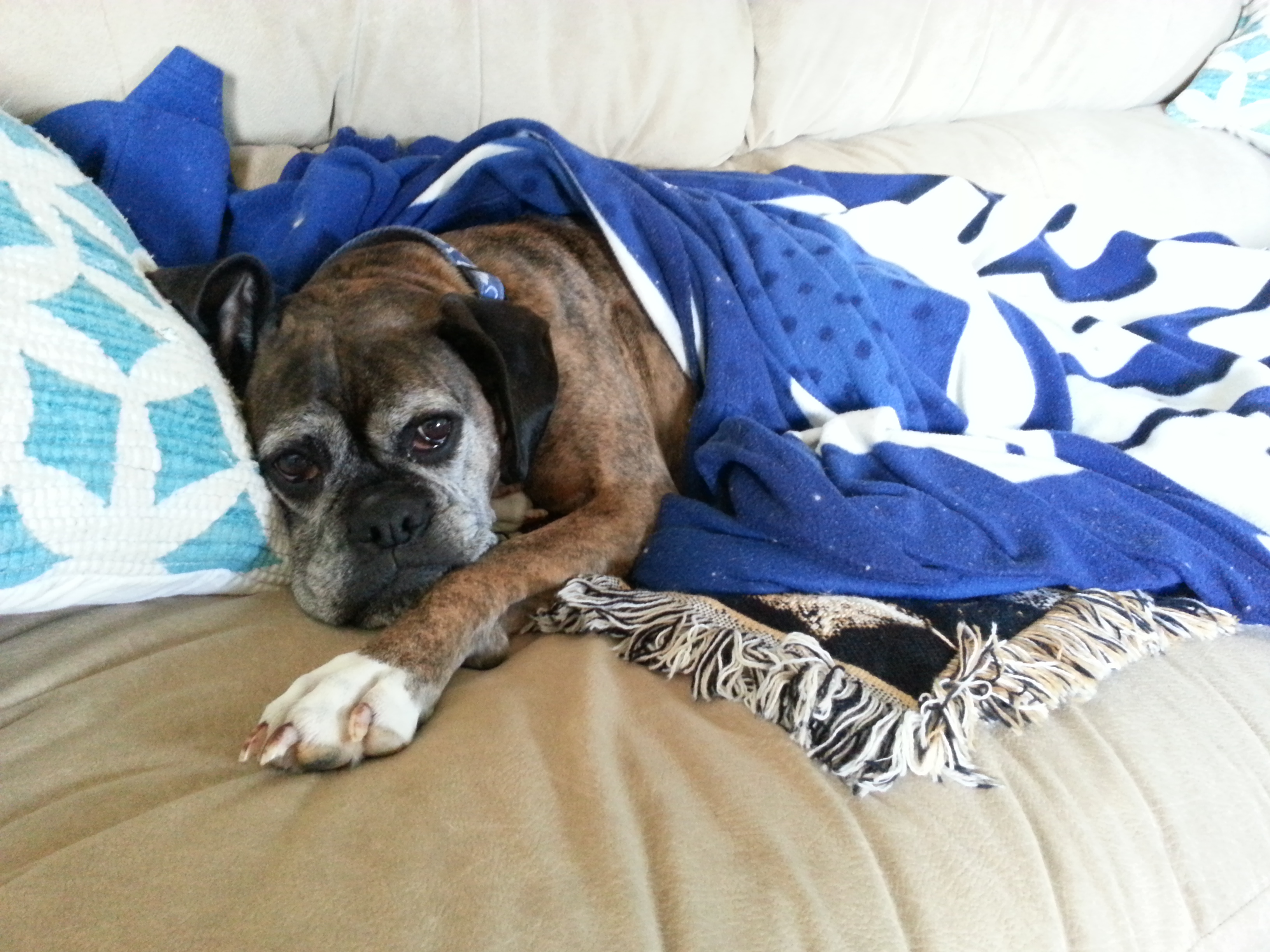 Enjoying my couch time.