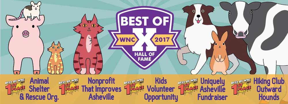 Help Build the Brother Wolf Animal Sanctuary!