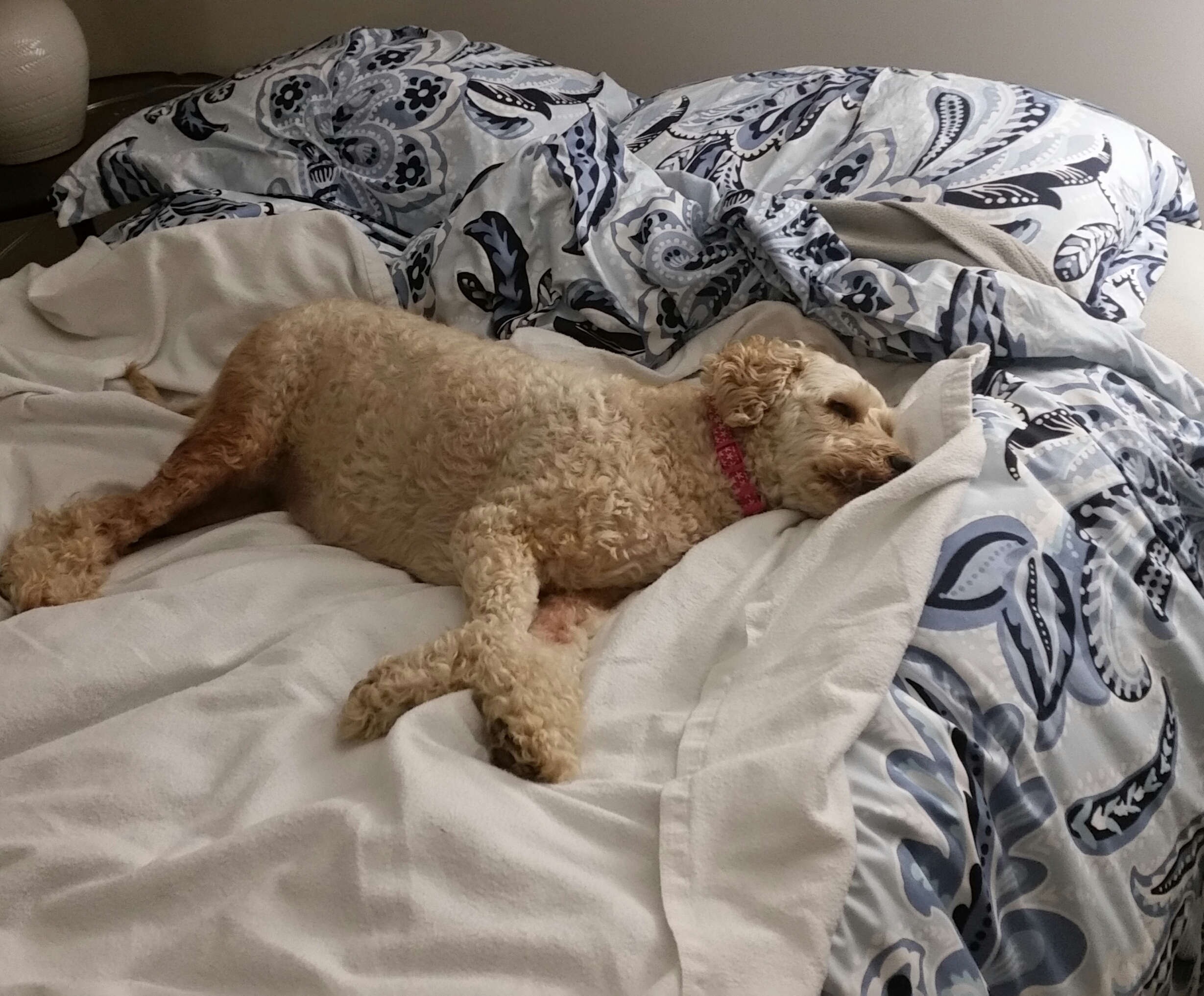 Where do YOU plan to sleep?