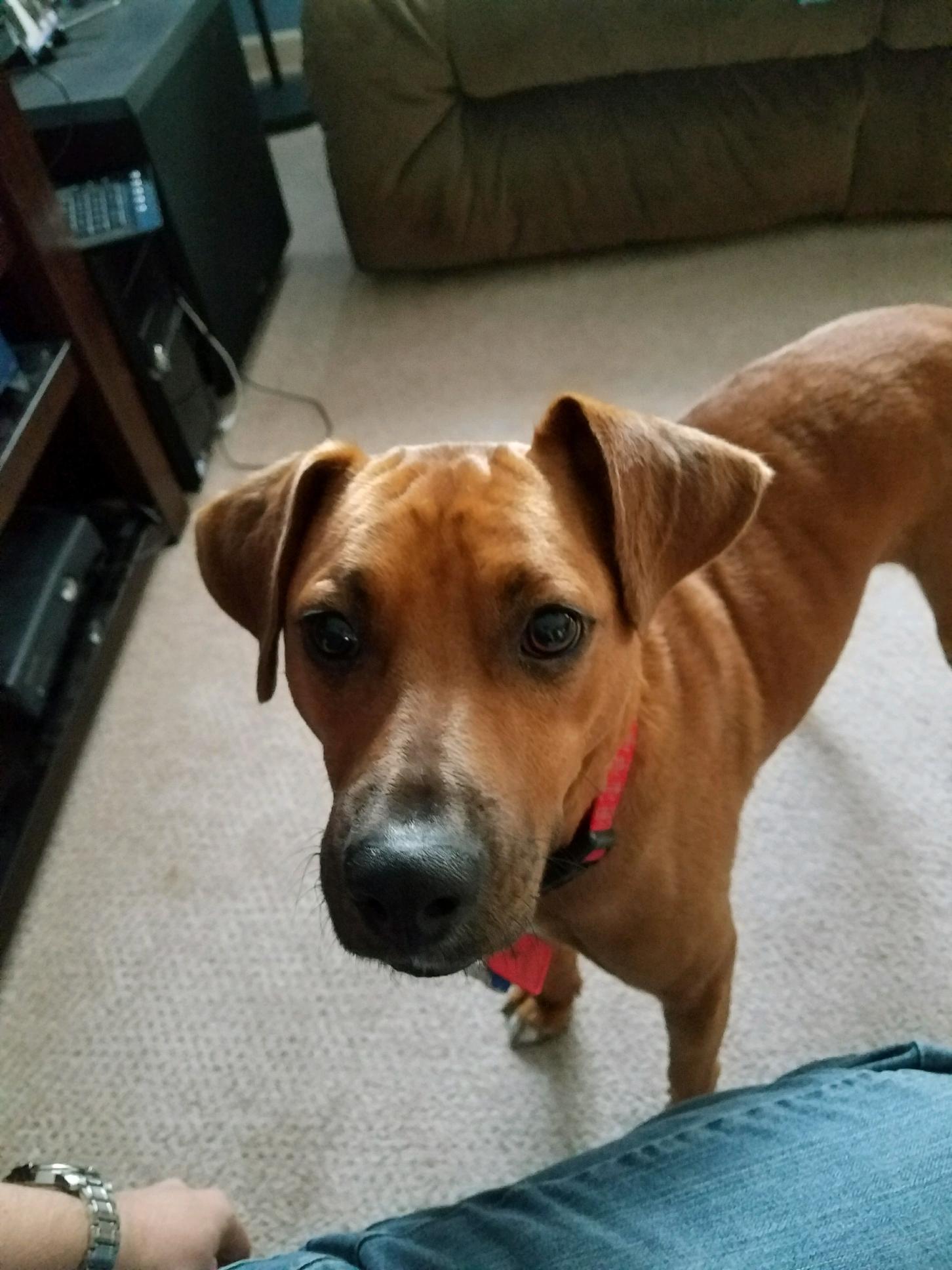 Please love me.  Pweez.