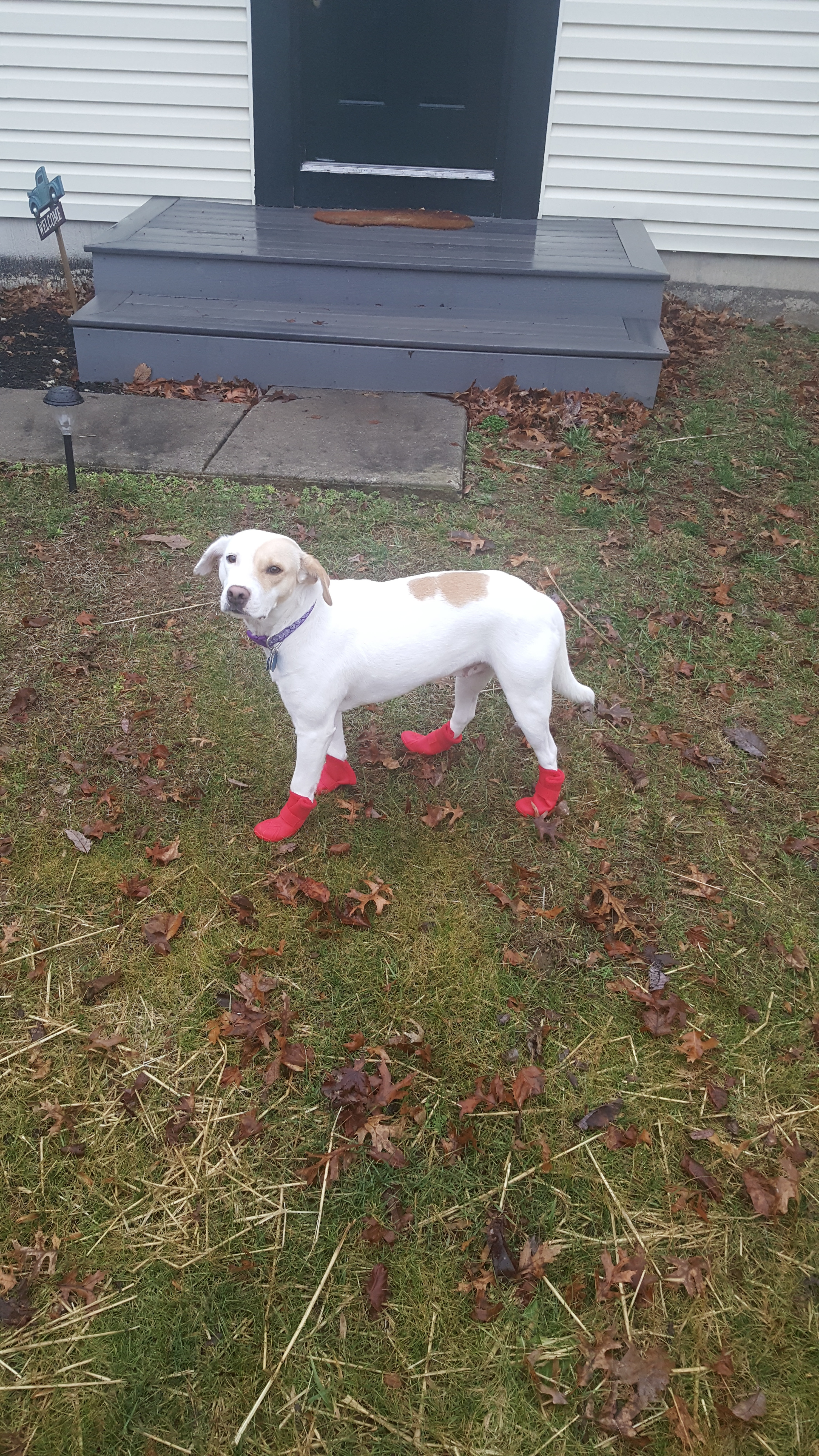 sometimes little red boots are not your favorite accessory