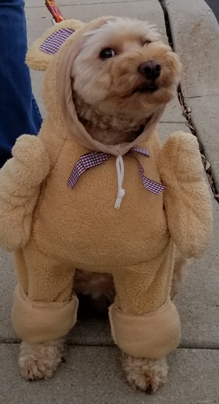 There had BETTER be treats