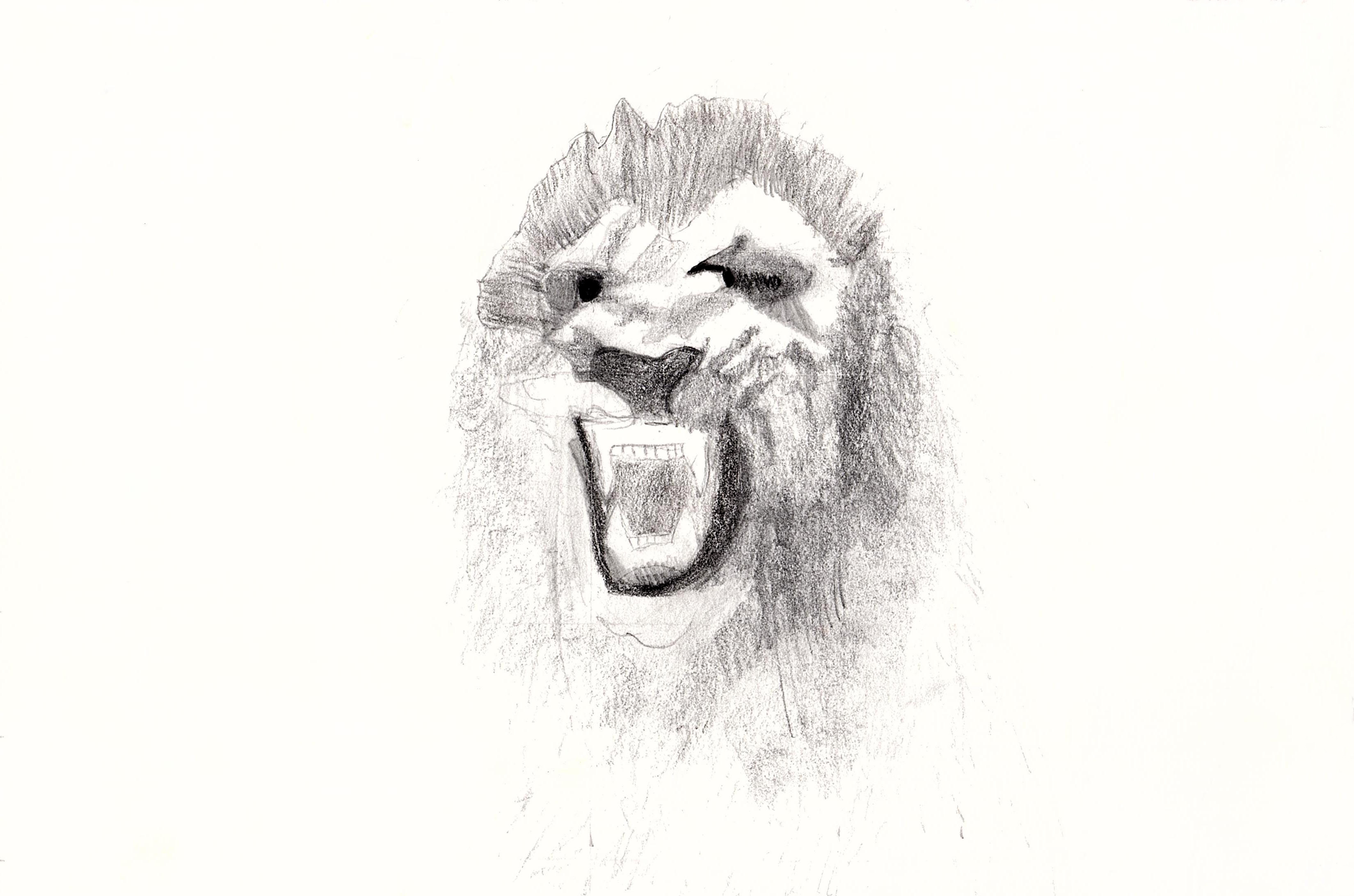 Untitled (Lion) by Erica, age 16