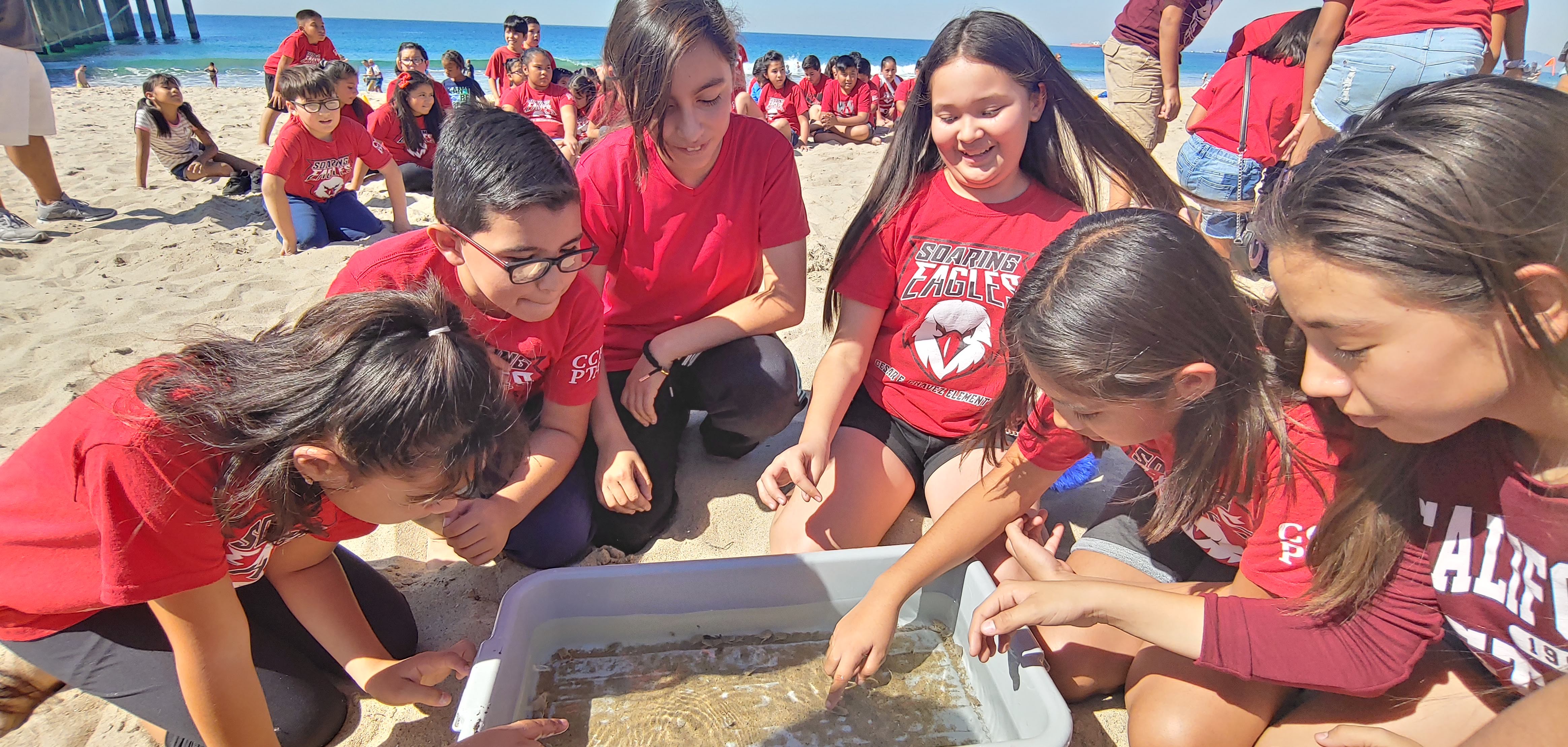 Students interact with sand crabs