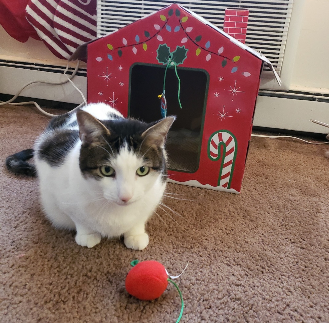 My Gingerbread House