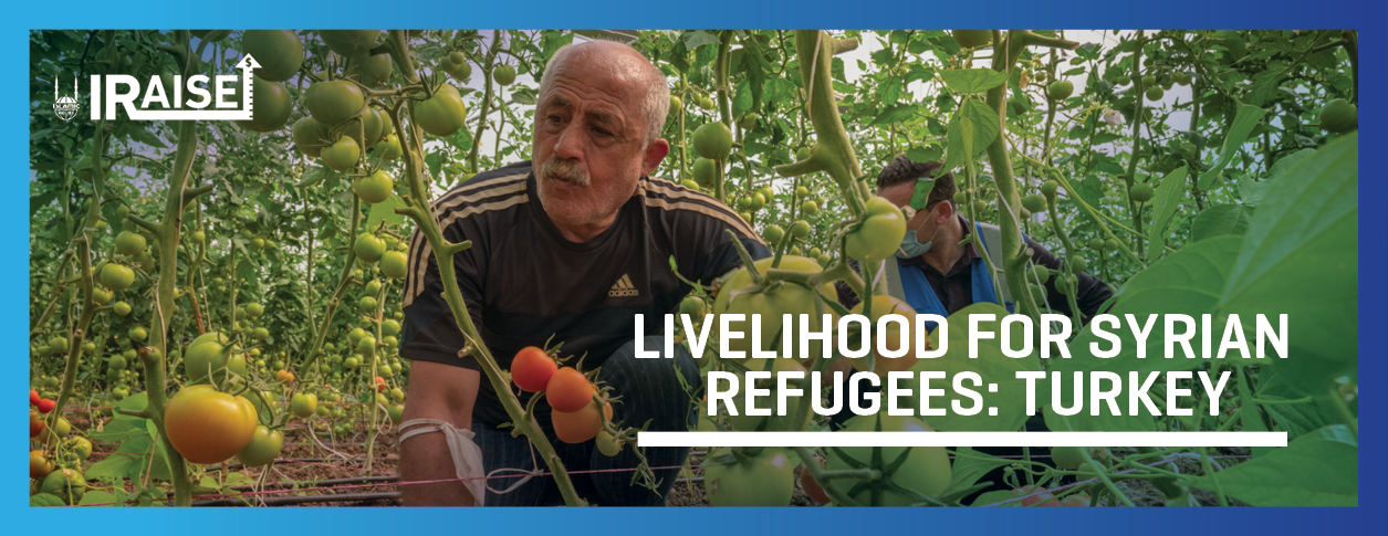 IRaise for Livelihood project for Syrian Refugees 