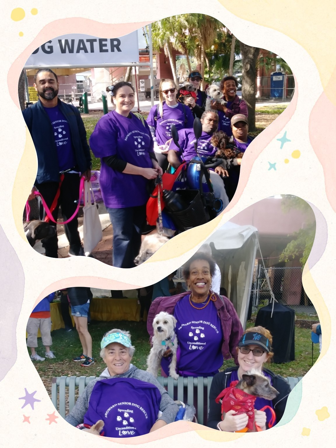 Past Walk 4 the Animals with Broward Senior Dog Rescue