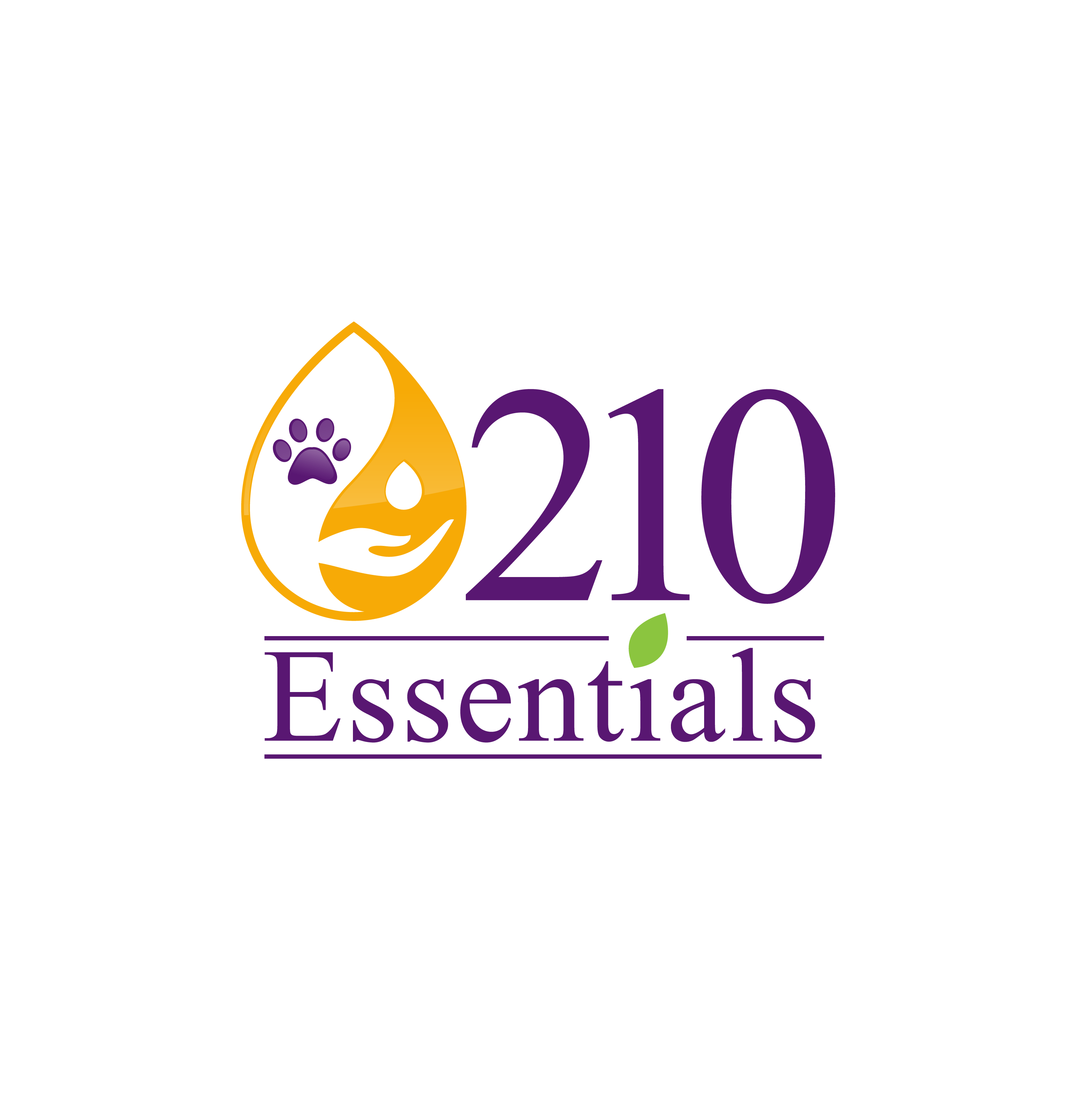 210 Essentials