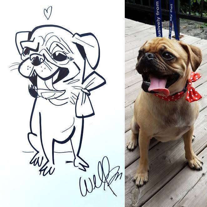 Last Year's Strutt Your Mutt