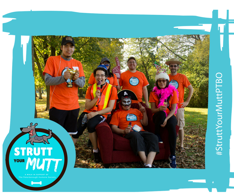 Last Year's Strutt Your Mutt