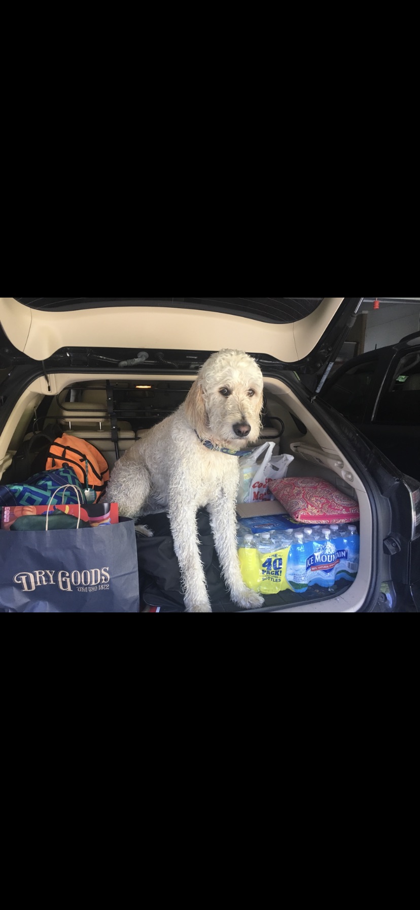 Colby trying to convince us there is room for him to make the trip!