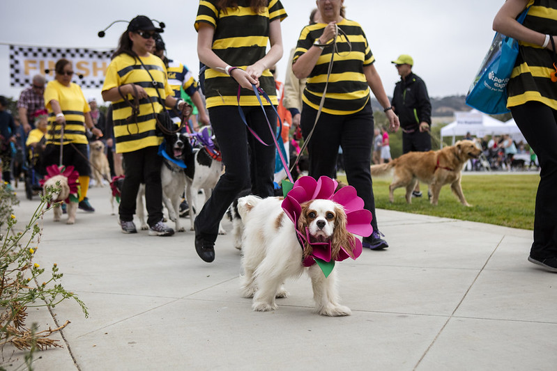 Buzzing with Excitement in 2016