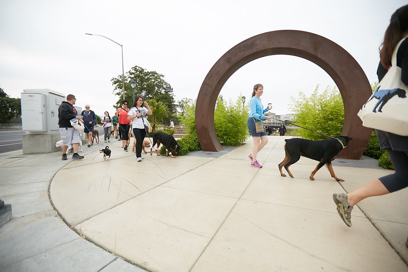 Artistic Views in 2018