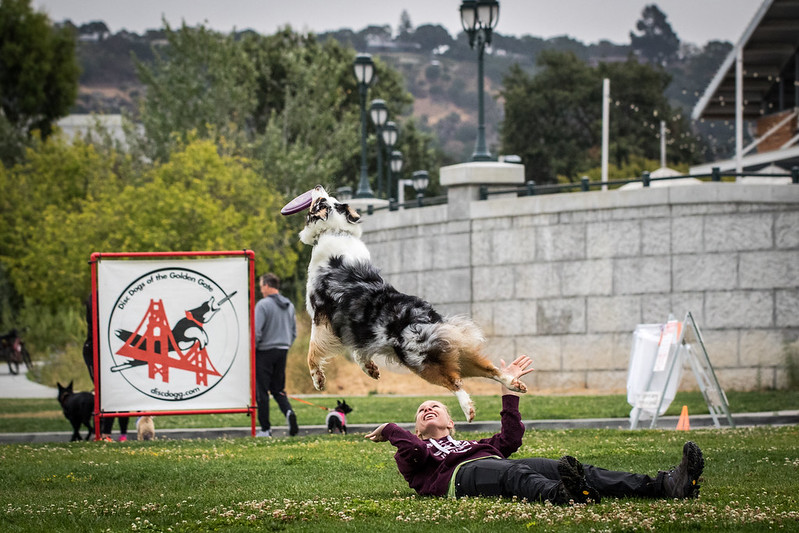 Disc Dogs of the Golden Gate in 2018