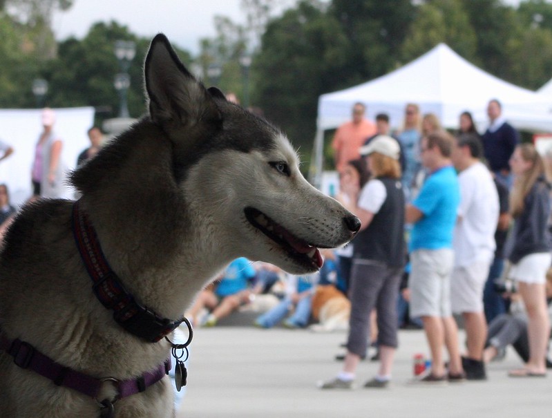 Taking in the sights in 2017
