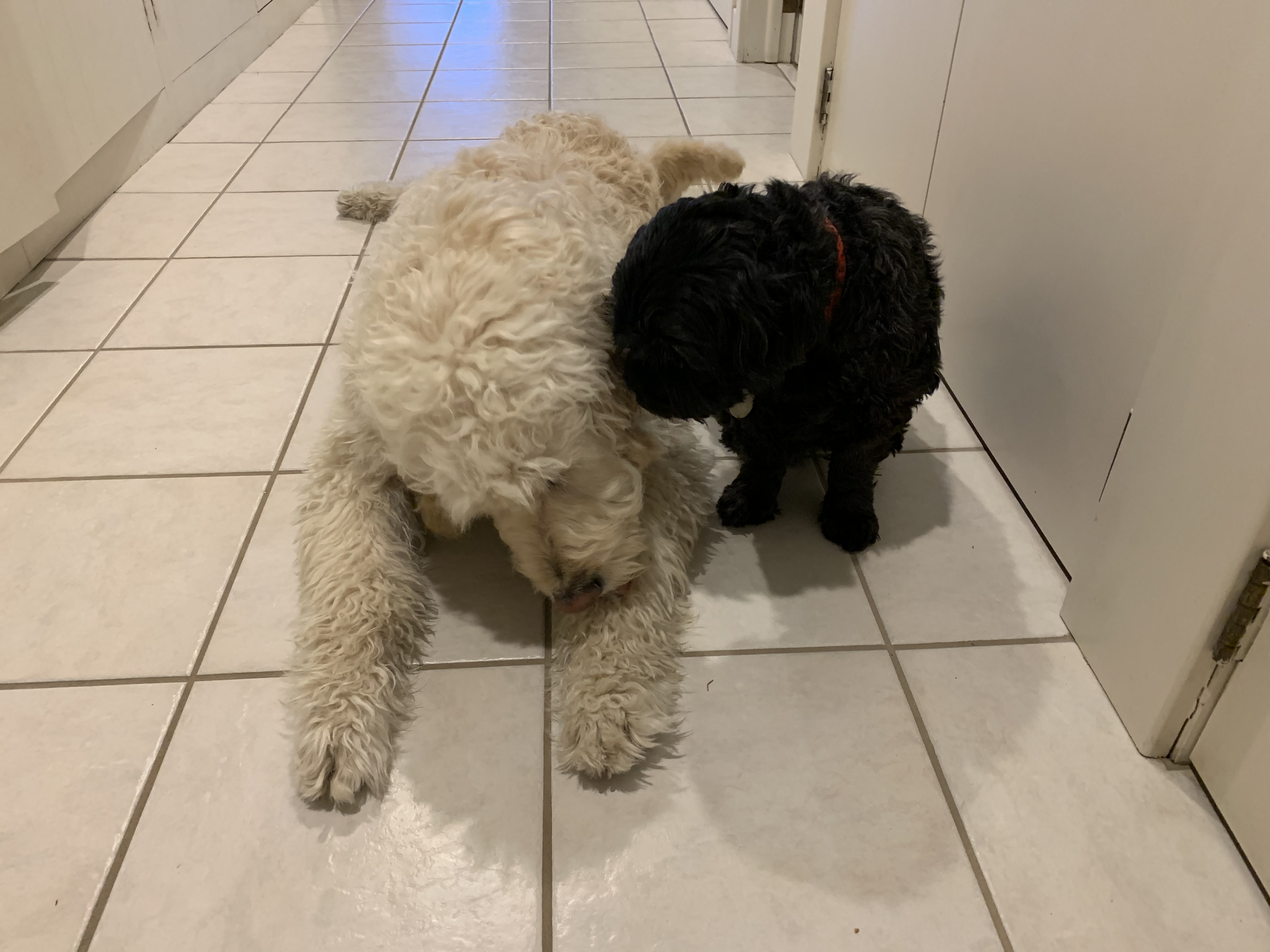 Jack telling Colby a secret!