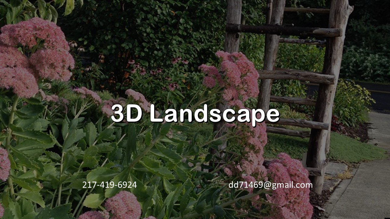 3D Landscape