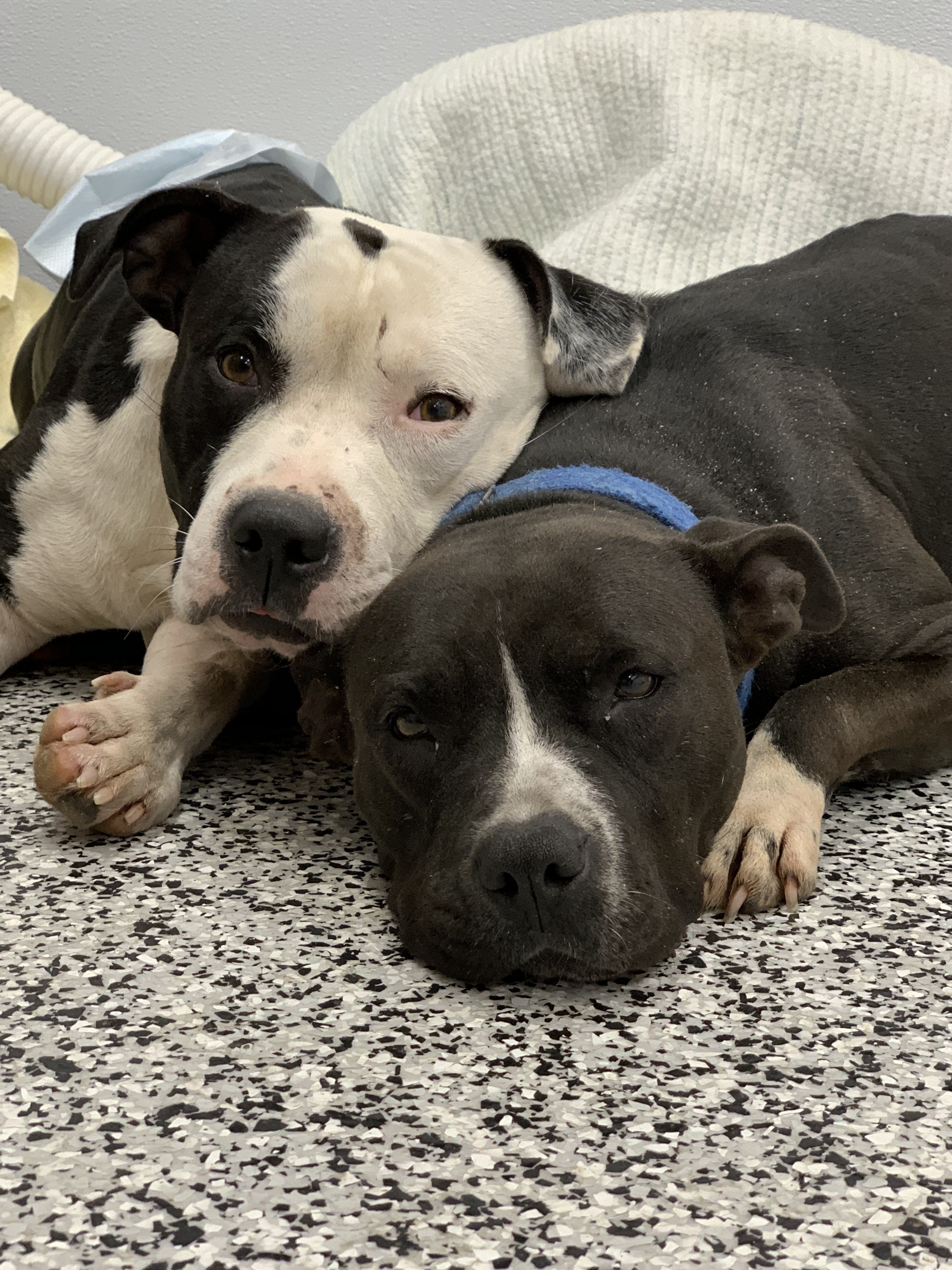 We make friends easy