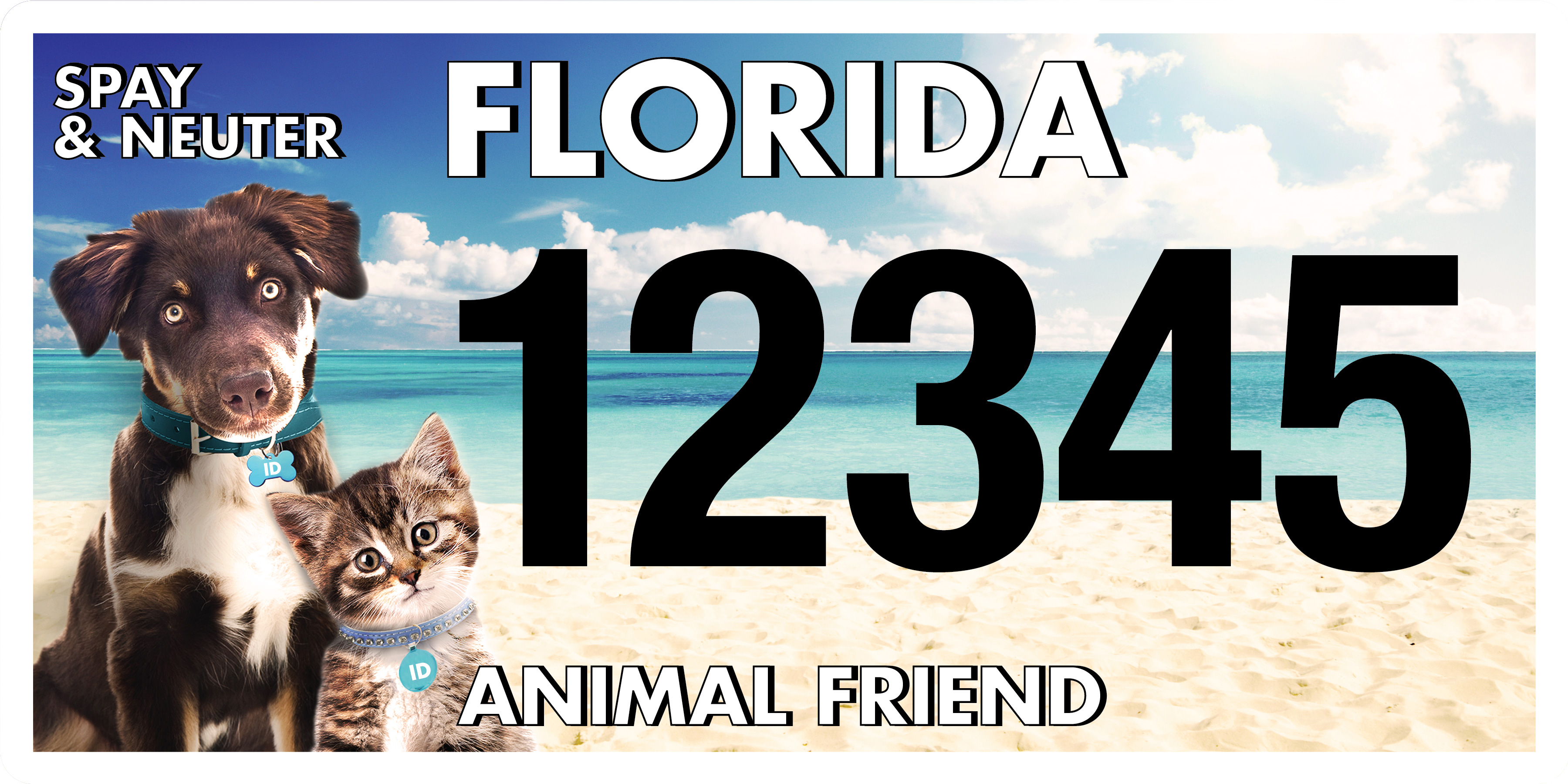 Florida Animal Friends