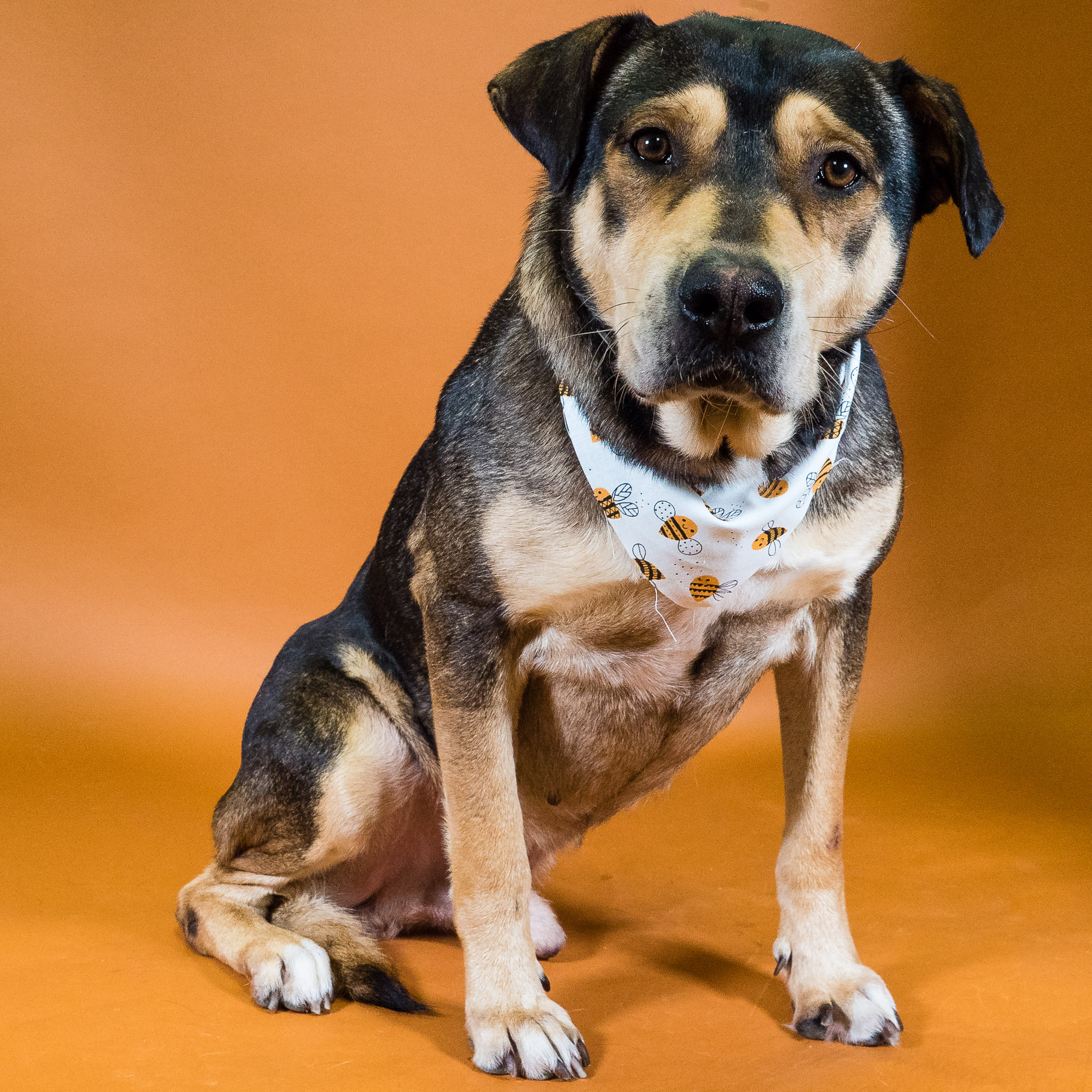 How can you say no to a face like this?!