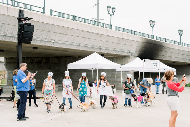 Costume Costume contestants 2019