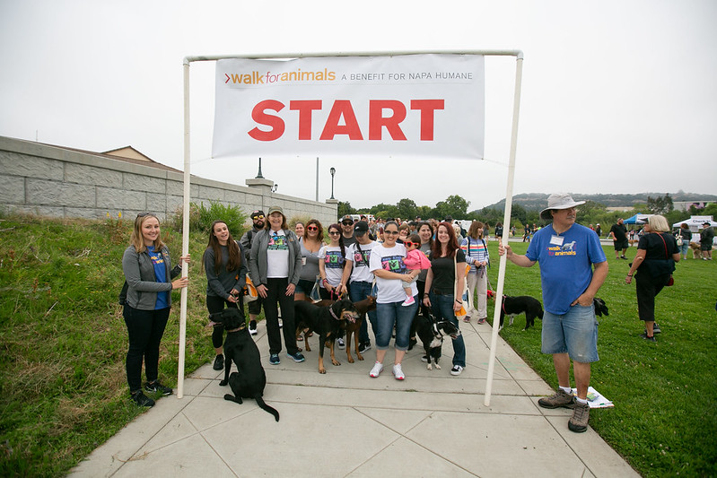 Kicking off Walk for Animals 2019