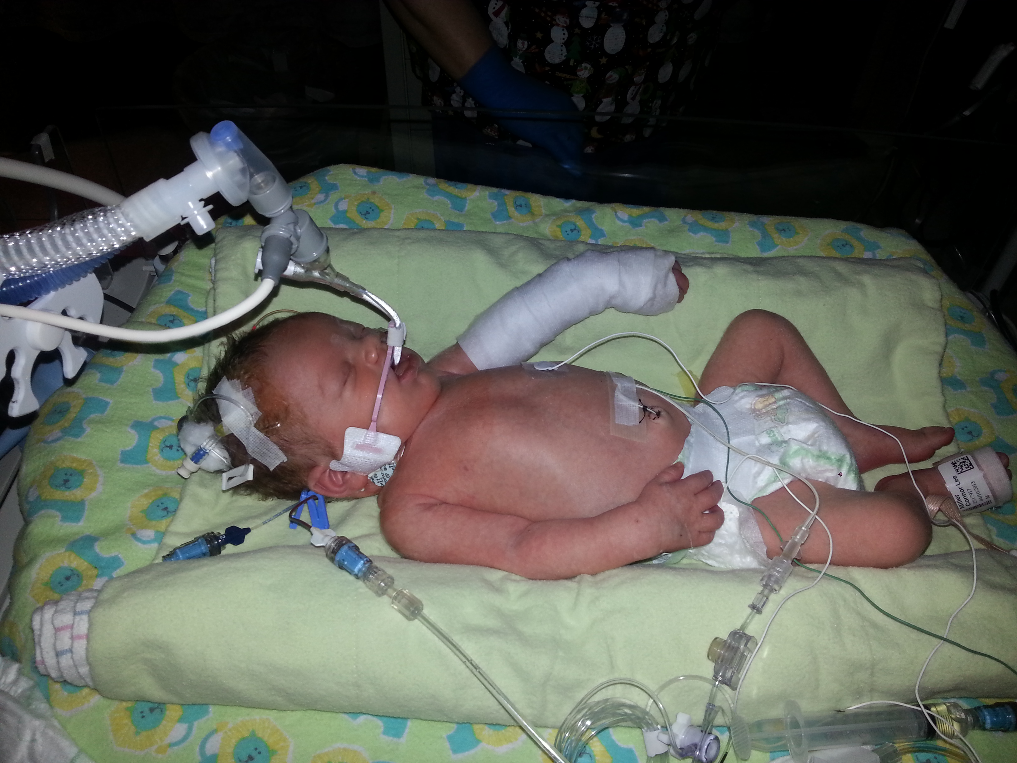 Connor: Day 6