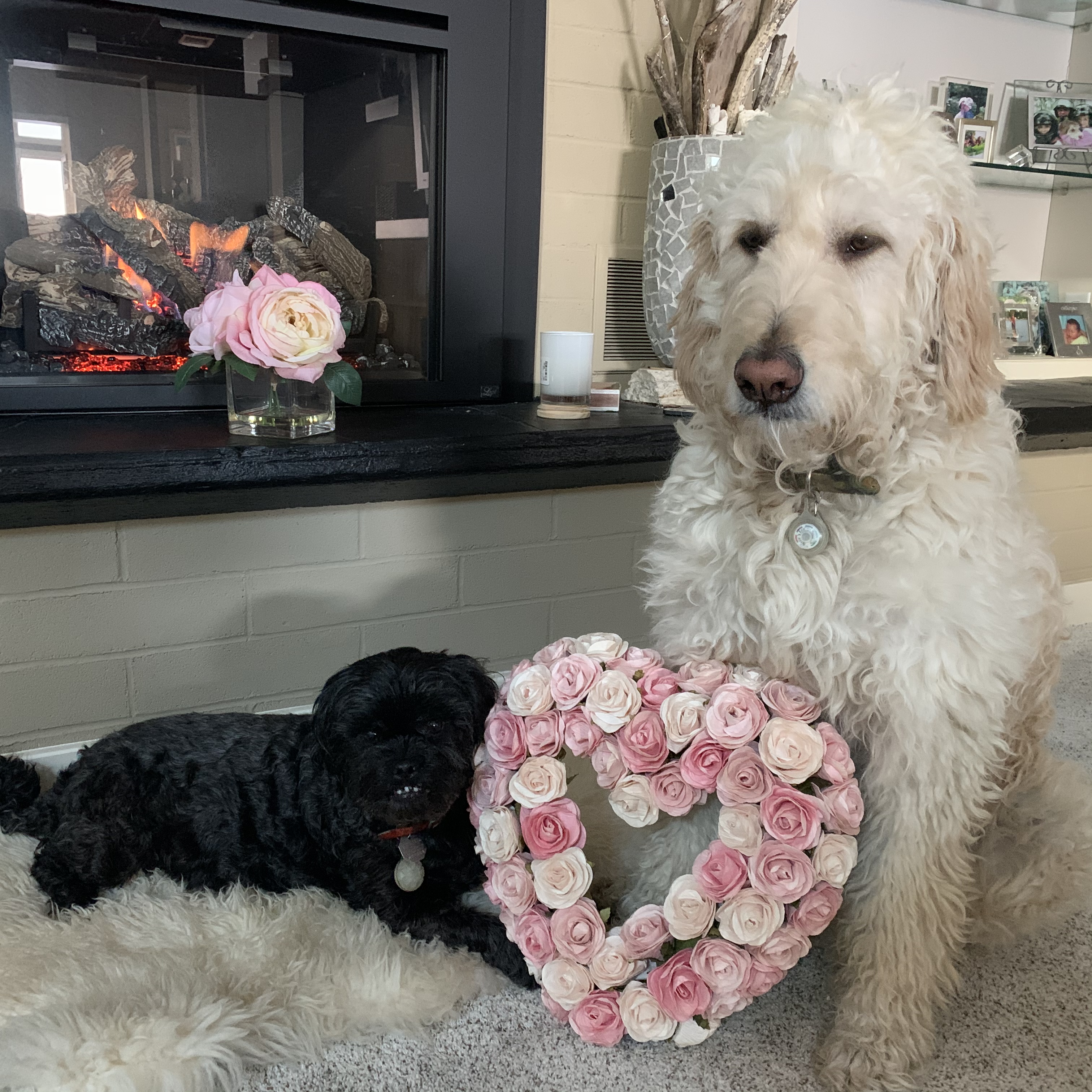 Happy Valentines Day!