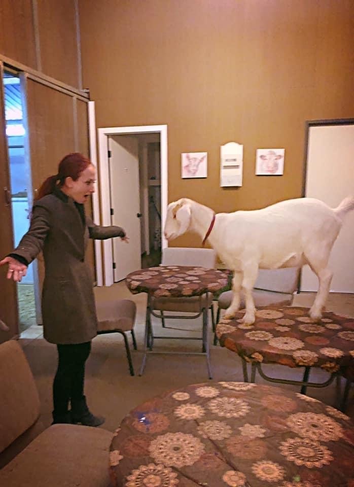 How did you get up there?