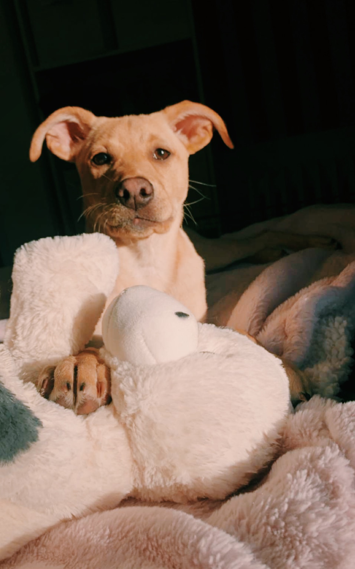 Some of my favorites