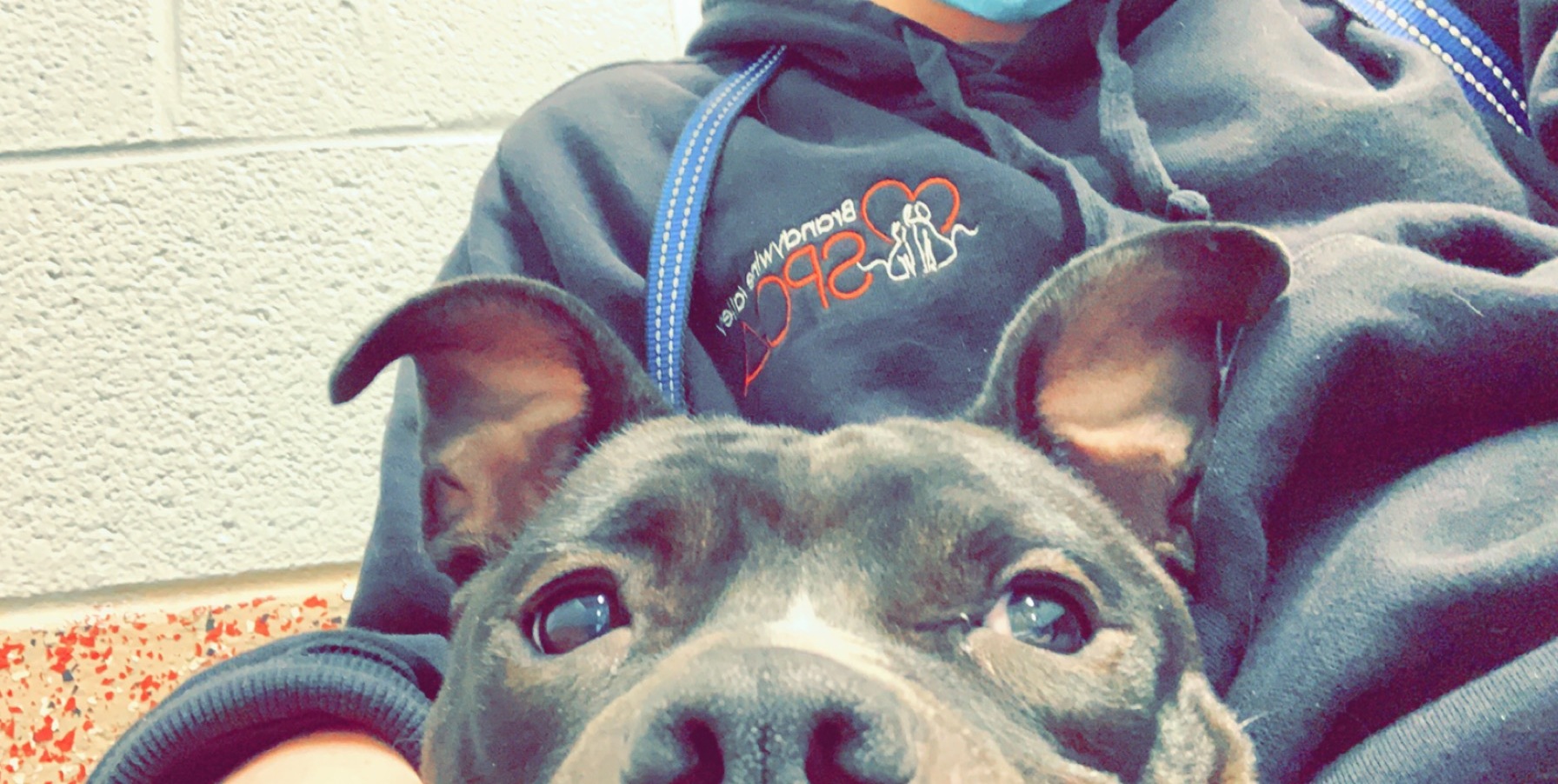 Some of my favorites